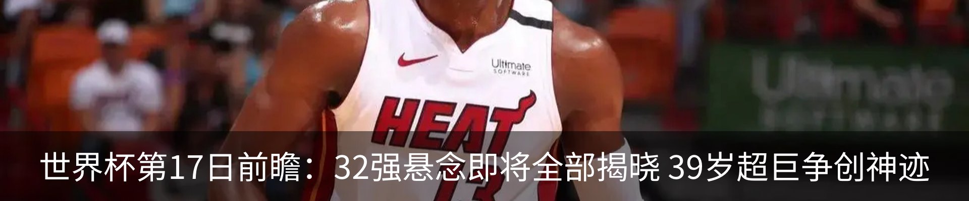最新动态